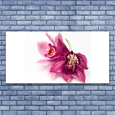 Fototryck på glas Blommor Växtnatur