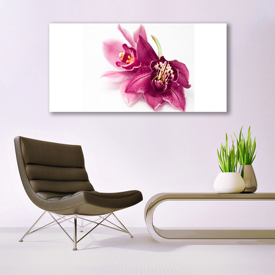 Fototryck på glas Blommor Växtnatur