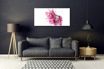 Fototryck på glas Blommor Växtnatur