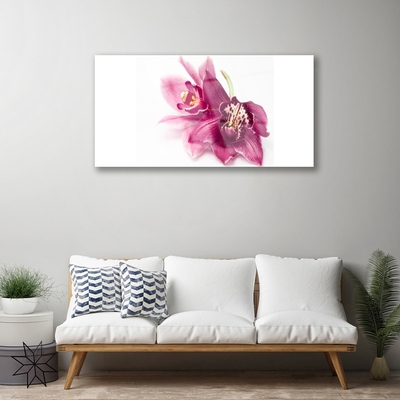 Fototryck på glas Blommor Växtnatur