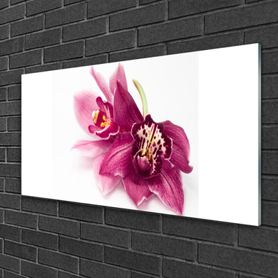 Fototryck på glas Blommor Växtnatur
