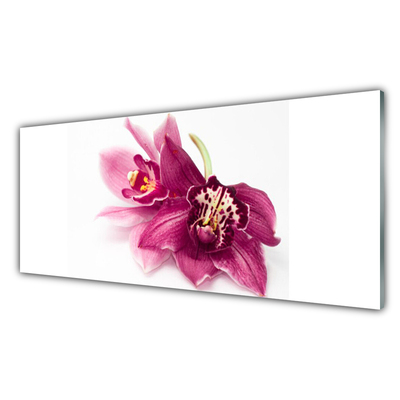 Fototryck på glas Blommor Växtnatur