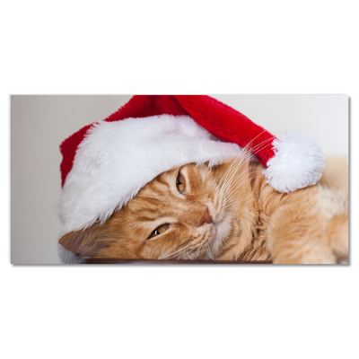 Glas bild Katt tomtehatt jul