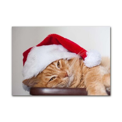 Glas bild Katt tomtehatt jul