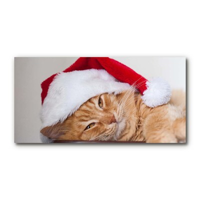 Glas bild Katt tomtehatt jul