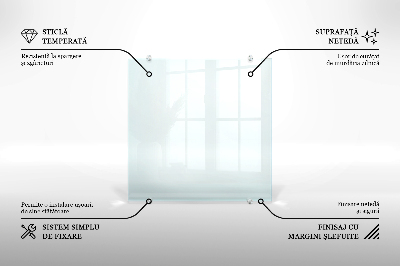 Stänkskydd kök transparent
