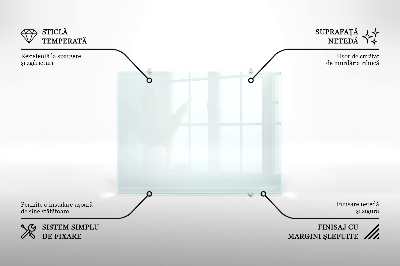 Stänkskydd kök transparent