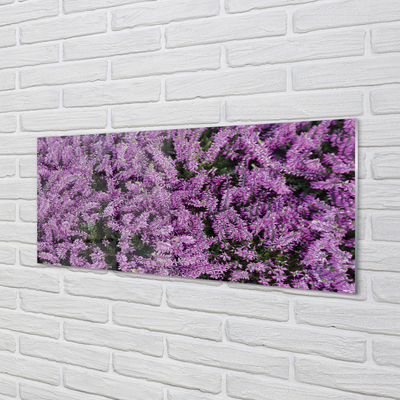 Glas panel Lila blommor