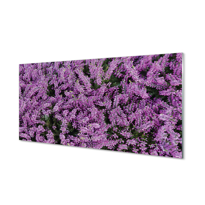 Glas panel Lila blommor