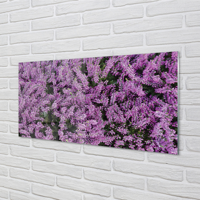 Glas panel Lila blommor