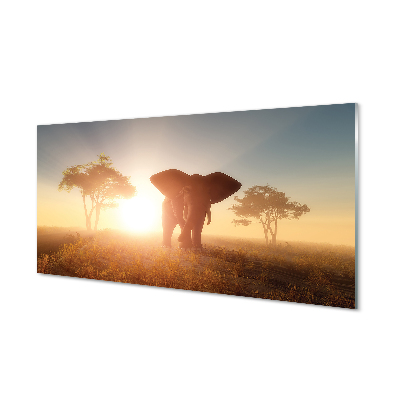 Glas panel Soluppgång för elefantträd