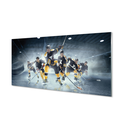 Glas panel Hockey