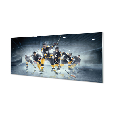 Glas panel Hockey