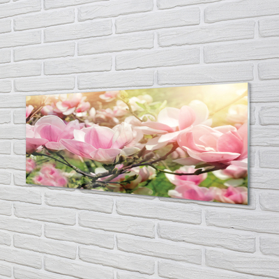 Glas panel Blommor