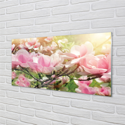 Glas panel Blommor