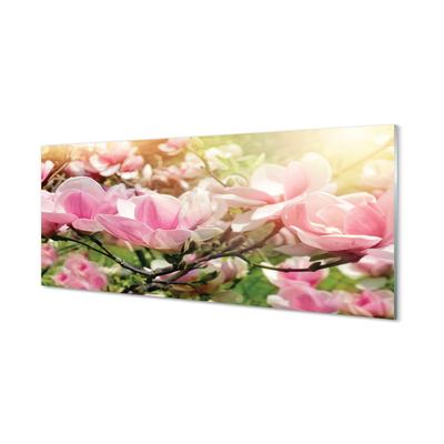 Glas panel Blommor