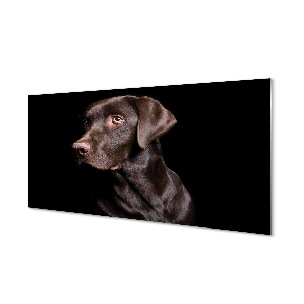 Glas panel Brun hund