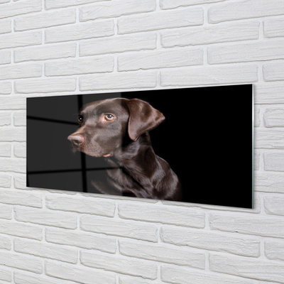 Glas panel Brun hund