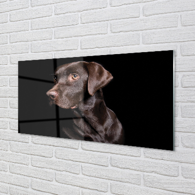 Glas panel Brun hund