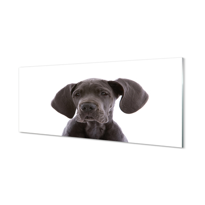 Glas panel Brun hund