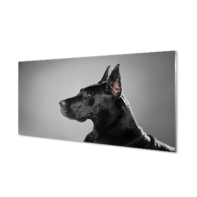 Glas panel Svart hund