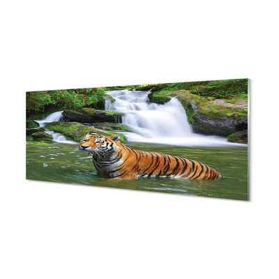 Glas panel Tiger vattenfall