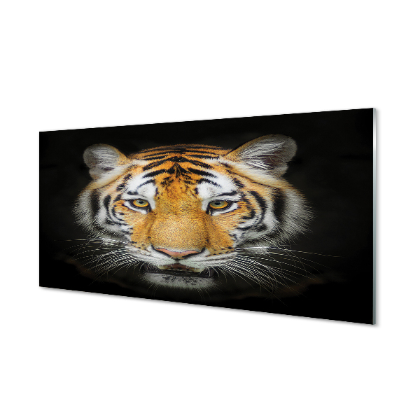 Glas panel Tiger