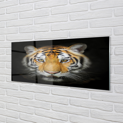 Glas panel Tiger