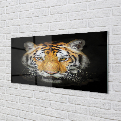 Glas panel Tiger