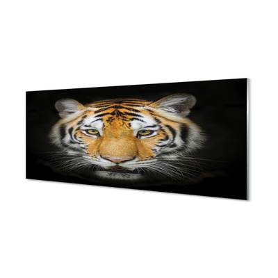 Glas panel Tiger