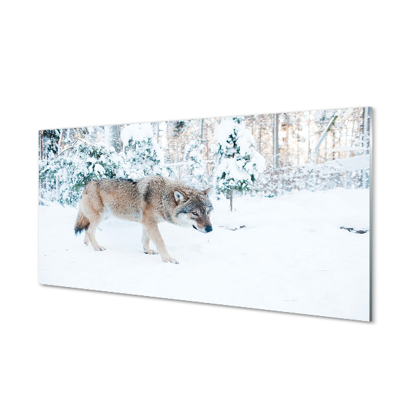 Glas panel Wolf vinter skog