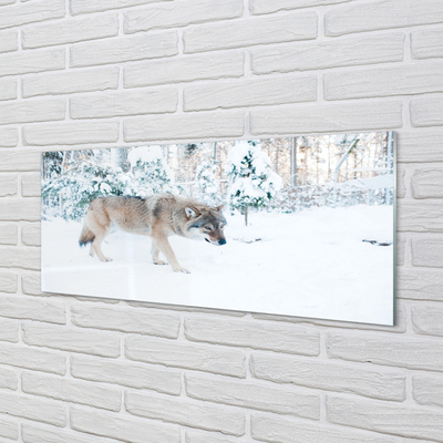 Glas panel Wolf vinter skog