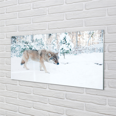 Glas panel Wolf vinter skog