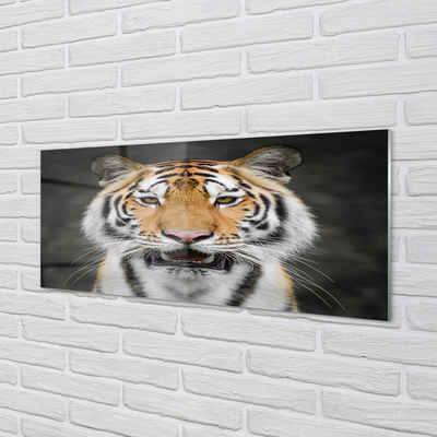 Glas panel Tiger