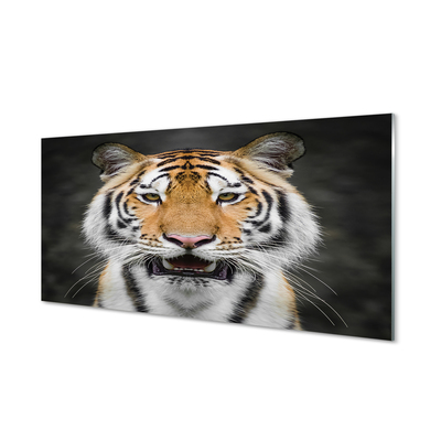 Glas panel Tiger