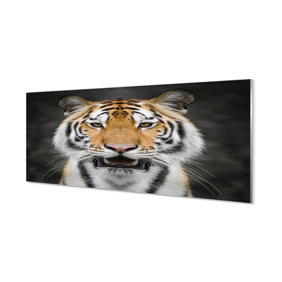 Glas panel Tiger