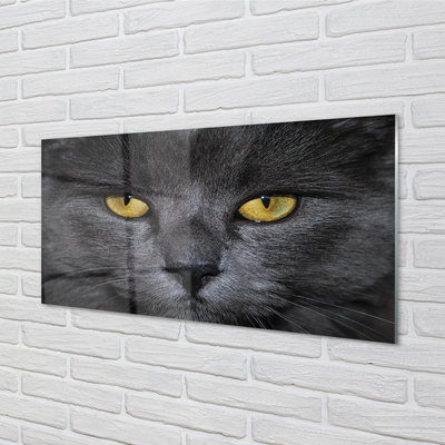 Glas panel Svart katt