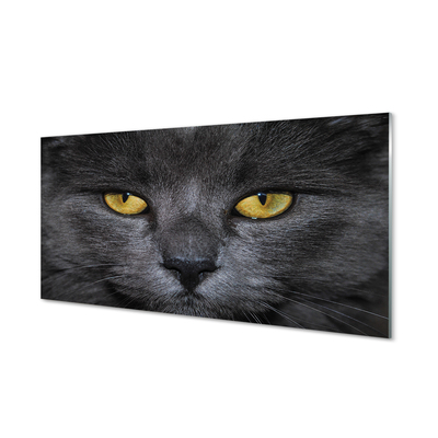 Glas panel Svart katt