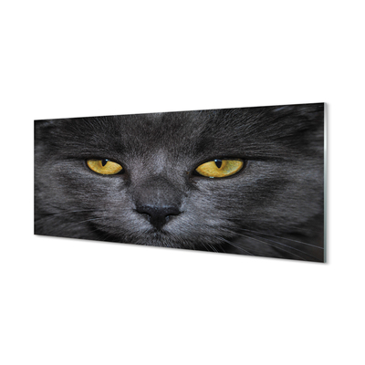 Glas panel Svart katt