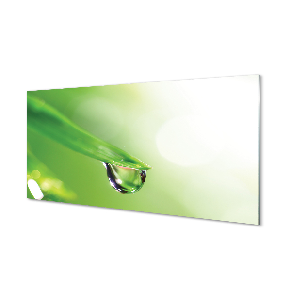 Glas panel Sol blad droppe