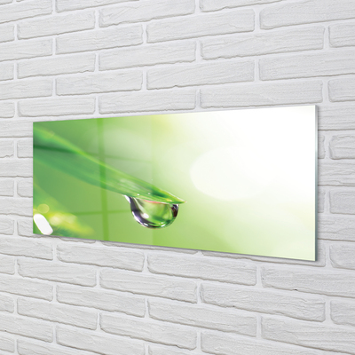 Glas panel Sol blad droppe