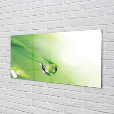 Glas panel Sol blad droppe