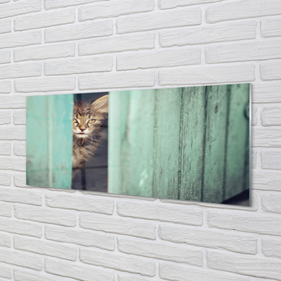 Glas panel Katt tittar in