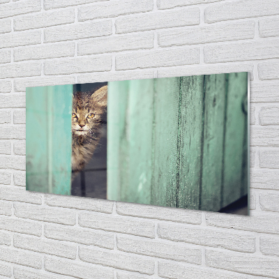 Glas panel Katt tittar in