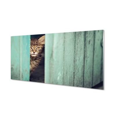 Glas panel Katt tittar in