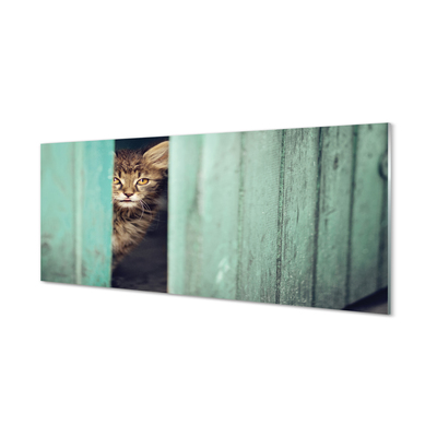 Glas panel Katt tittar in