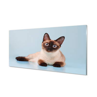 Glas panel Liggande katt