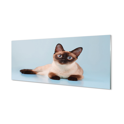 Glas panel Liggande katt