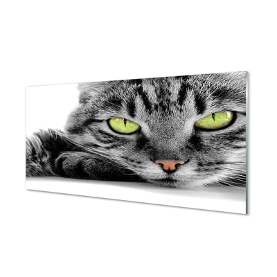 Glas panel Grå och svart katt