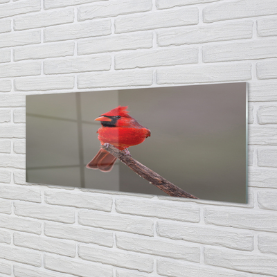 Glas panel Röd papegoja på en gren